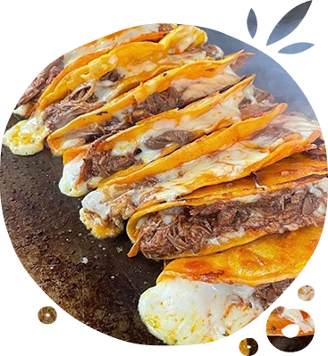 Quesabirria Plate